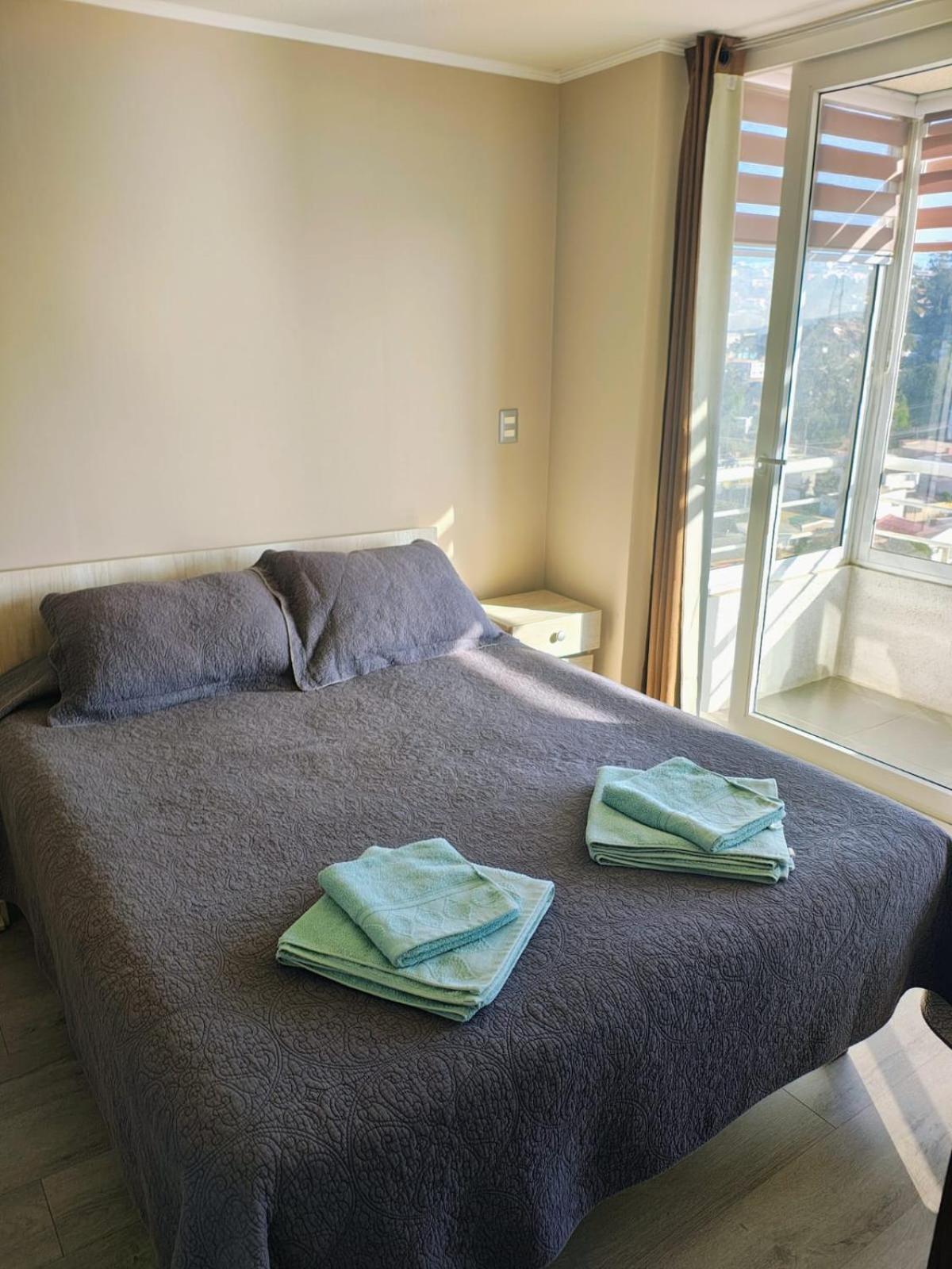 Todo El Ano Vive Marzo A Diciembre Disponible Apartamento Vina del Mar